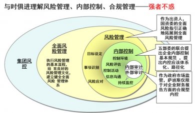 风险管理的辨析