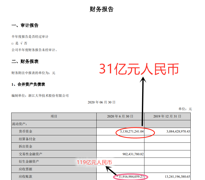 大华技术股份财务报告